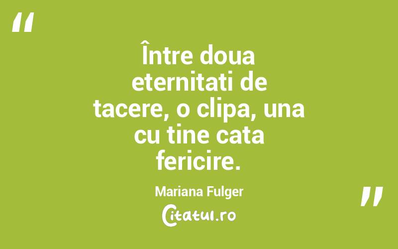 Între doua eternitati de tacere, o clipa, una cu tine cata fericire. Mariana Fulger