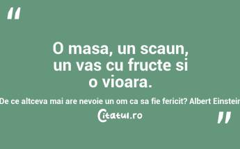 O masa, un scaun, un vas cu fructe si o vioara. De ce altceva mai are nevoie un om ca sa fie fericit? Albert Einstein...
