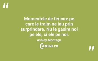 Momentele de fericire pe care le traim ne iau prin surprindere. Nu le gasim noi pe ele, ci ele pe noi. Ashley Montagu...