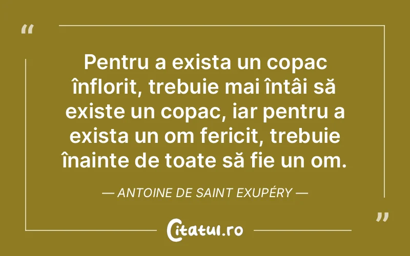 Pentru a exista un copac înflorit, trebuie mai întâi să existe un copac, iar pentru a exista un om fericit, trebuie înainte de toate să fie un om. Antoine de Saint Exupéry
