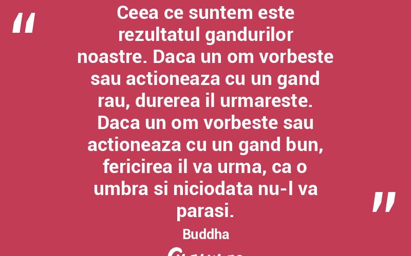 Ceea ce suntem este rezultatul gandurilor noastre. Daca un om vorbeste sau actioneaza cu un gand rau, durerea il urmareste. Daca un om vorbeste sau actioneaza cu un gand bun, fericirea il va urma, ca o umbra si niciodata nu-l va parasi. Buddha