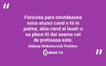 Fericirea pare intotdeauna mica atunci cand o tii in palme, abia cand ai lasat-o sa plece iti dai seama cat de pretioasa este. Aleksey Maksimovich Peshkov...