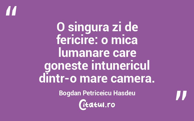 O singura zi de fericire: o mica lumanare care goneste intunericul dintr-o mare camera. Bogdan Petriceicu Hasdeu