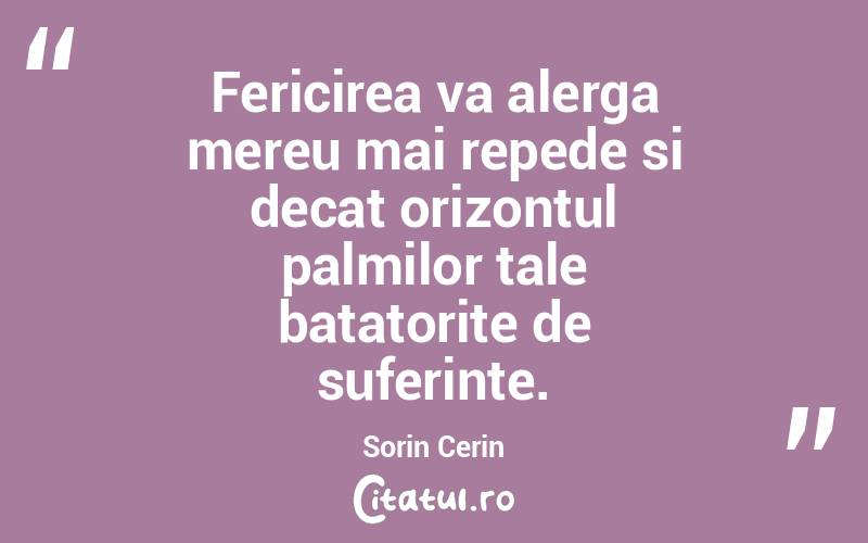 Fericirea va alerga mereu mai repede si decat orizontul palmilor tale batatorite de suferinte. Sorin Cerin