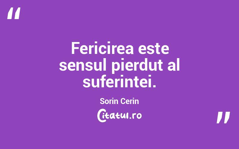 Fericirea este sensul pierdut al suferintei. Sorin Cerin
