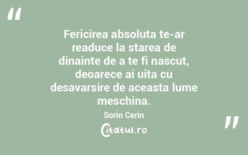 Fericirea absoluta te-ar readuce la starea de dinainte de a te fi nascut, deoarece ai uita cu desavarsire de aceasta lume meschina. Sorin Cerin