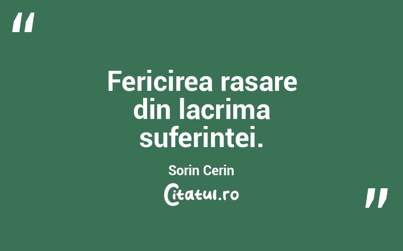 Fericirea rasare din lacrima suferintei. Sorin Cerin