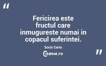 Fericirea este fructul care inmugureste numai in copacul suferintei. Sorin Cerin...
