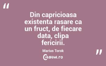Din capricioasa existenta rasare ca un fruct, de fiecare data, clipa fericirii. Marius Torok...