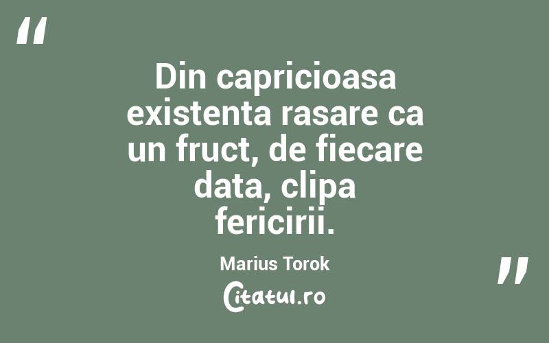Din capricioasa existenta rasare ca un fruct, de fiecare data, clipa fericirii. Marius Torok