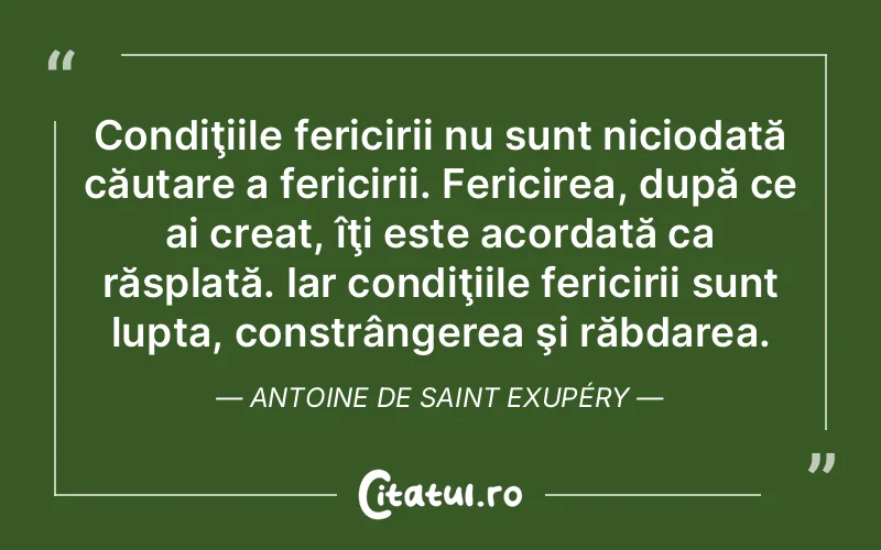 Condiţiile fericirii nu sunt niciodată căutare a fericirii. Fericirea, după ce ai creat, îţi este acordată ca răsplată. Iar condiţiile fericirii sunt lupta, constrângerea şi răbdarea. Antoine de Saint Exupéry