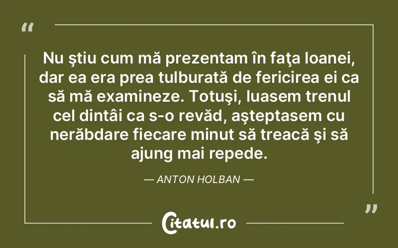 Nu ştiu cum mă prezentam în faţa Ioanei, dar ea era prea tulburată de fericirea ei ca să mă examineze. Totuşi, luasem trenul cel dintâi ca s-o revăd, aşteptasem cu nerăbdare fiecare minut să treacă şi să ajung mai repede. Anton Holban