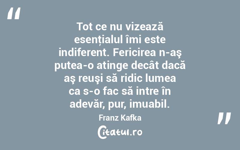 Tot ce nu vizează esenţialul îmi este indiferent. Fericirea n-aş putea-o atinge decât dacă aş reuşi să ridic lumea ca s-o fac să intre în adevăr, pur, imuabil. Franz Kafka