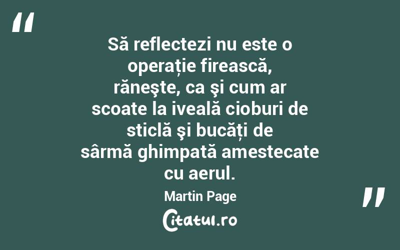 Să reflectezi nu este o operaţie firească, răneşte, ca şi cum ar scoate la iveală cioburi de sticlă şi bucăţi de sârmă ghimpată amestecate cu aerul. Martin Page