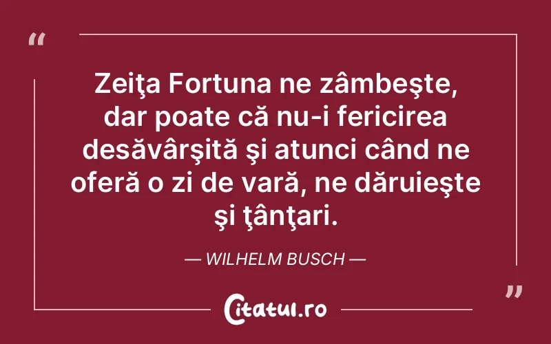 Zeiţa Fortuna ne zâmbeşte, dar poate că nu-i fericirea desăvârşită şi atunci când ne oferă o zi de vară, ne dăruieşte şi ţânţari. Wilhelm Busch