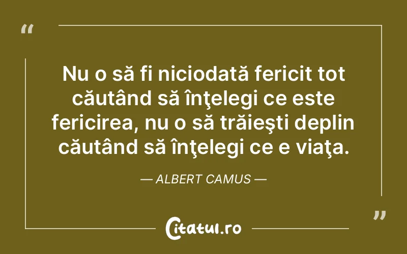 Nu o să fi niciodată fericit tot căutând să înţelegi ce este fericirea, nu o să trăieşti deplin căutând să înţelegi ce e viaţa. Albert Camus