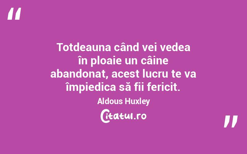 Totdeauna când vei vedea în ploaie un câine abandonat, acest lucru te va împiedica să fii fericit. Aldous Huxley