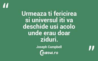 Urmeaza ti fericirea si universul iti va deschide usi acolo unde erau doar ziduri. Joseph Campbell...