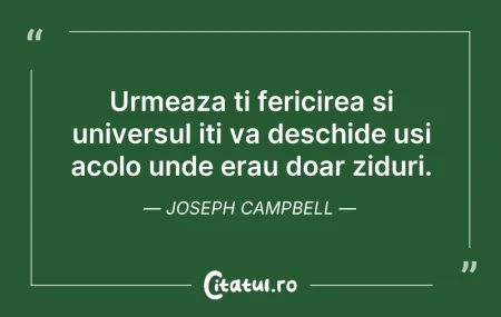 Urmeaza ti fericirea si universul iti va...
