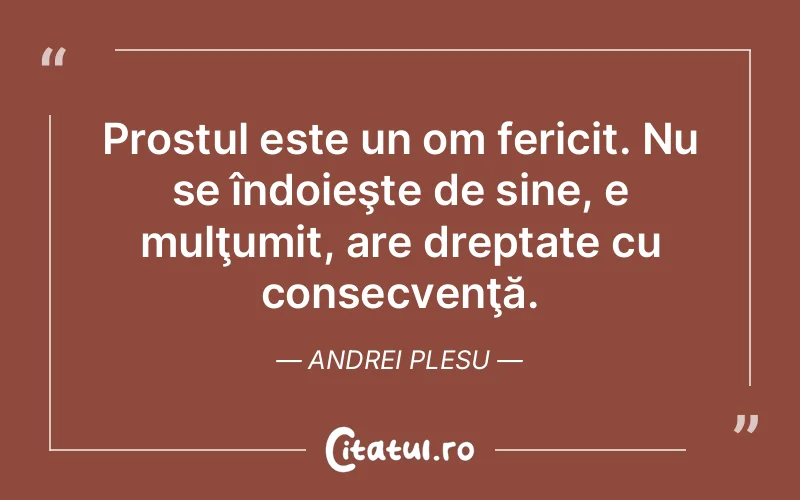 Prostul este un om fericit. Nu se îndoieşte de sine, e mulţumit, are dreptate cu consecvenţă. Andrei Plesu