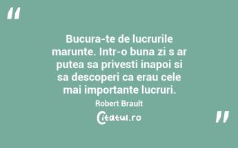Bucura-te de lucrurile marunte. Intr-o buna zi s ar putea sa privesti inapoi si sa descoperi ca erau cele mai importante lucruri. Robert Brault...