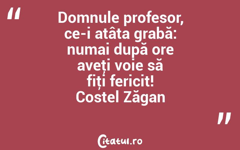 Domnule profesor, ce-i atâta grabă: numai după ore aveţi voie să fiţi fericit! Costel Zăgan

