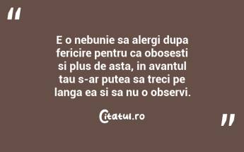 E o nebunie sa alergi dupa fericire pentru ca obosesti si plus de asta, in avantul tau s-ar putea sa treci pe langa ea si sa nu o observi....