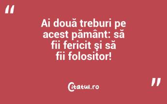 Ai două treburi pe acest pământ: să fii fericit şi să fii folositor!...