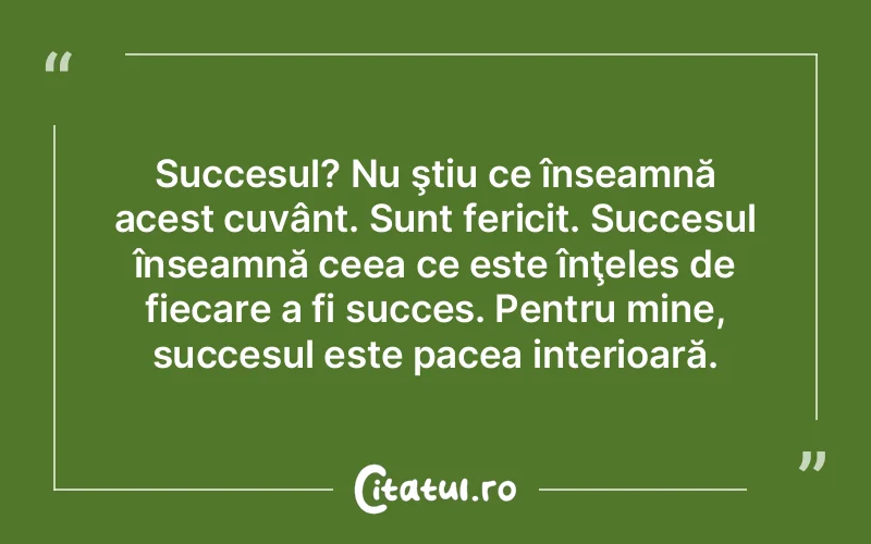 Succesul? Nu ştiu ce înseamnă acest cuvânt. Sunt fericit. Succesul înseamnă ceea ce este înţeles de fiecare a fi succes. Pentru mine, succesul este pacea interioară.