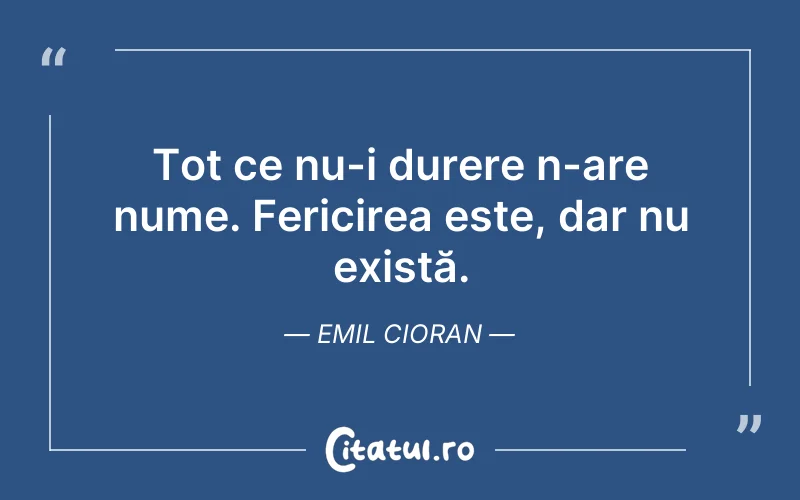 Tot ce nu-i durere n-are nume. Fericirea este, dar nu există. Emil Cioran