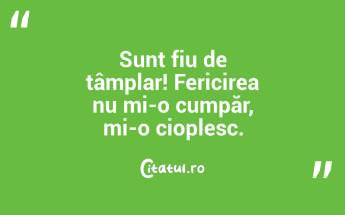 Sunt fiu de tâmplar! Fericirea nu mi-o cumpăr, mi-o cioplesc. ...