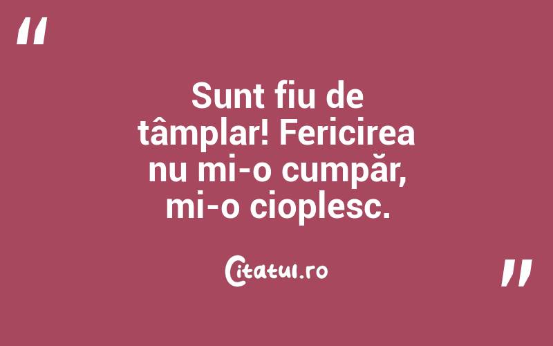 Sunt fiu de tâmplar! Fericirea nu mi-o cumpăr, mi-o cioplesc. 
