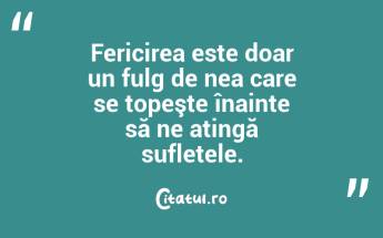 Fericirea este doar un fulg de nea care se topeşte înainte să ne atingă sufletele. ...