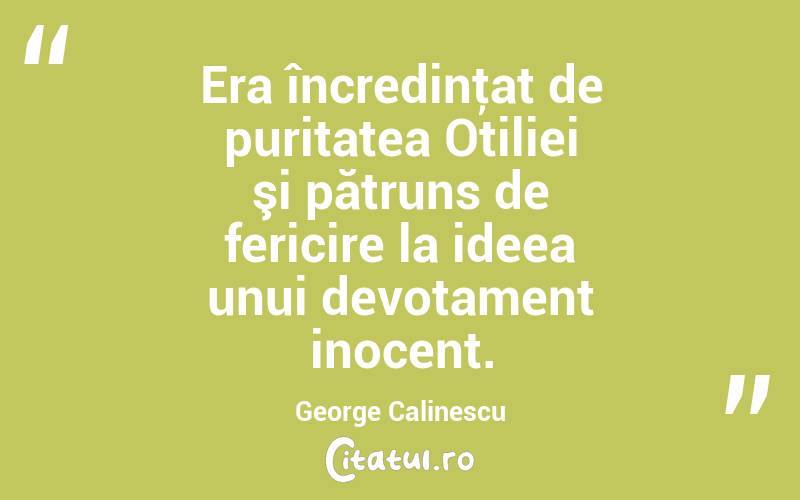 Era încredinţat de puritatea Otiliei şi pătruns de fericire la ideea unui devotament inocent. George Calinescu