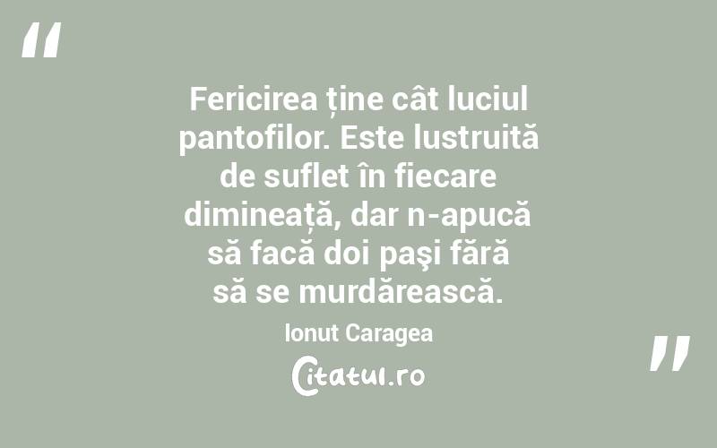 Fericirea ţine cât luciul pantofilor. Este lustruită de suflet în fiecare dimineaţă, dar n-apucă să facă doi paşi fără să se murdărească. Ionuț Caragea