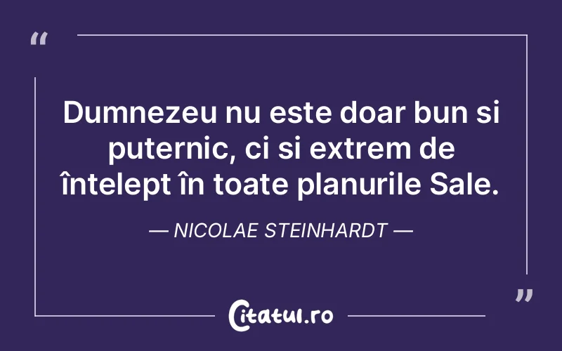 Dumnezeu nu este doar bun și puternic, ci și extrem de înțelept în toate planurile Sale. Nicolae Steinhardt
