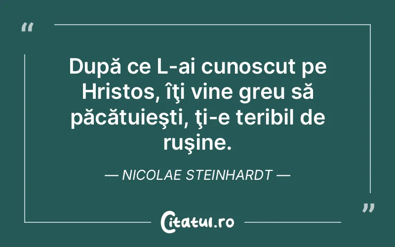 După ce L-ai cunoscut pe Hristos, îţi vine greu să păcătuieşti, ţi-e teribil de ruşine. Nicolae Steinhardt