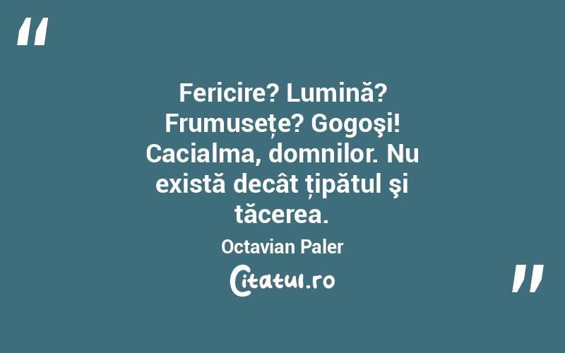 Fericire? Lumină? Frumuseţe? Gogoşi! Cacialma, domnilor. Nu există decât ţipătul şi tăcerea. Octavian Paler