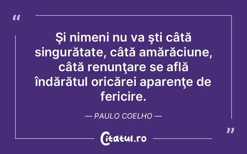 Şi nimeni nu va şti câtă singurătate, câtă amărăciune, câtă renunţare se află îndărătul oricărei aparenţe de fericire. Paulo Coelho