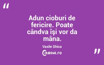 Adun cioburi de fericire. Poate cândva îşi vor da mâna. Vasile Ghica...