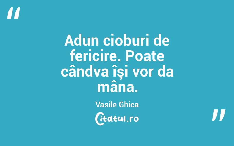 Adun cioburi de fericire. Poate cândva îşi vor da mâna. Vasile Ghica
