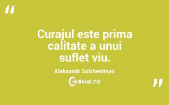 Curajul este prima calitate a unui suflet viu. Aleksandr Solzhenitsyn...