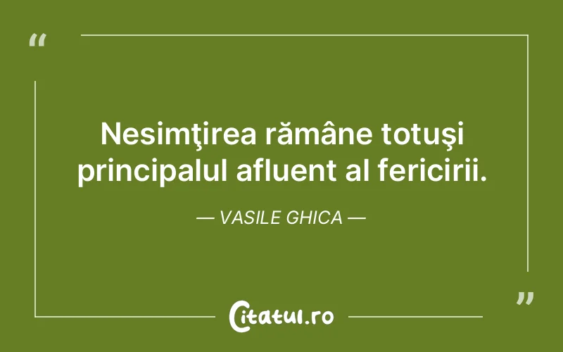 Nesimţirea rămâne totuşi principalul afluent al fericirii. Vasile Ghica
