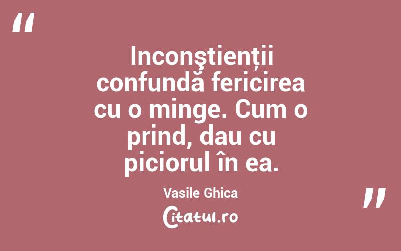 Inconştienţii confundă fericirea cu o minge. Cum o prind, dau cu piciorul în ea. Vasile Ghica
