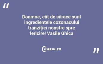 Doamne, cât de sărace sunt ingredientele cozonacului tranziţiei noastre spre fericire! Vasile Ghica...