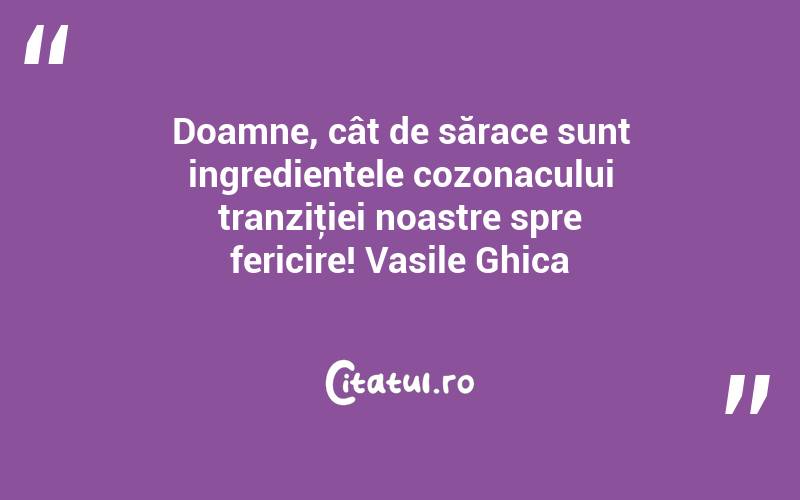 Doamne, cât de sărace sunt ingredientele cozonacului tranziţiei noastre spre fericire! Vasile Ghica
