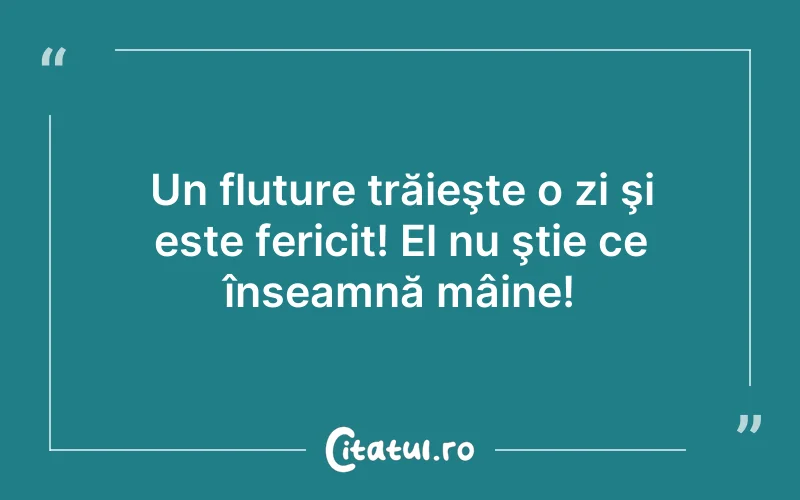 Un fluture trăieşte o zi şi este fericit! El nu ştie ce înseamnă mâine!