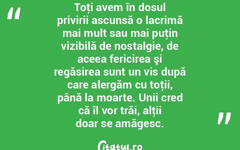 Toţi avem în dosul privirii ascunsă o lacrimă mai mult sau mai puţin vizibilă de nostalgie, de aceea fericirea şi regăsirea sunt un vis după care alergăm cu toţii, până la moarte. Unii cred că îl vor trăi, alţii doar se amăgesc.