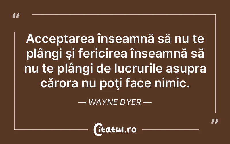 Acceptarea înseamnă să nu te plângi şi fericirea înseamnă să nu te plângi de lucrurile asupra cărora nu poţi face nimic. Wayne Dyer