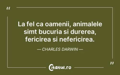 Citat Fericire - Citatul.ro